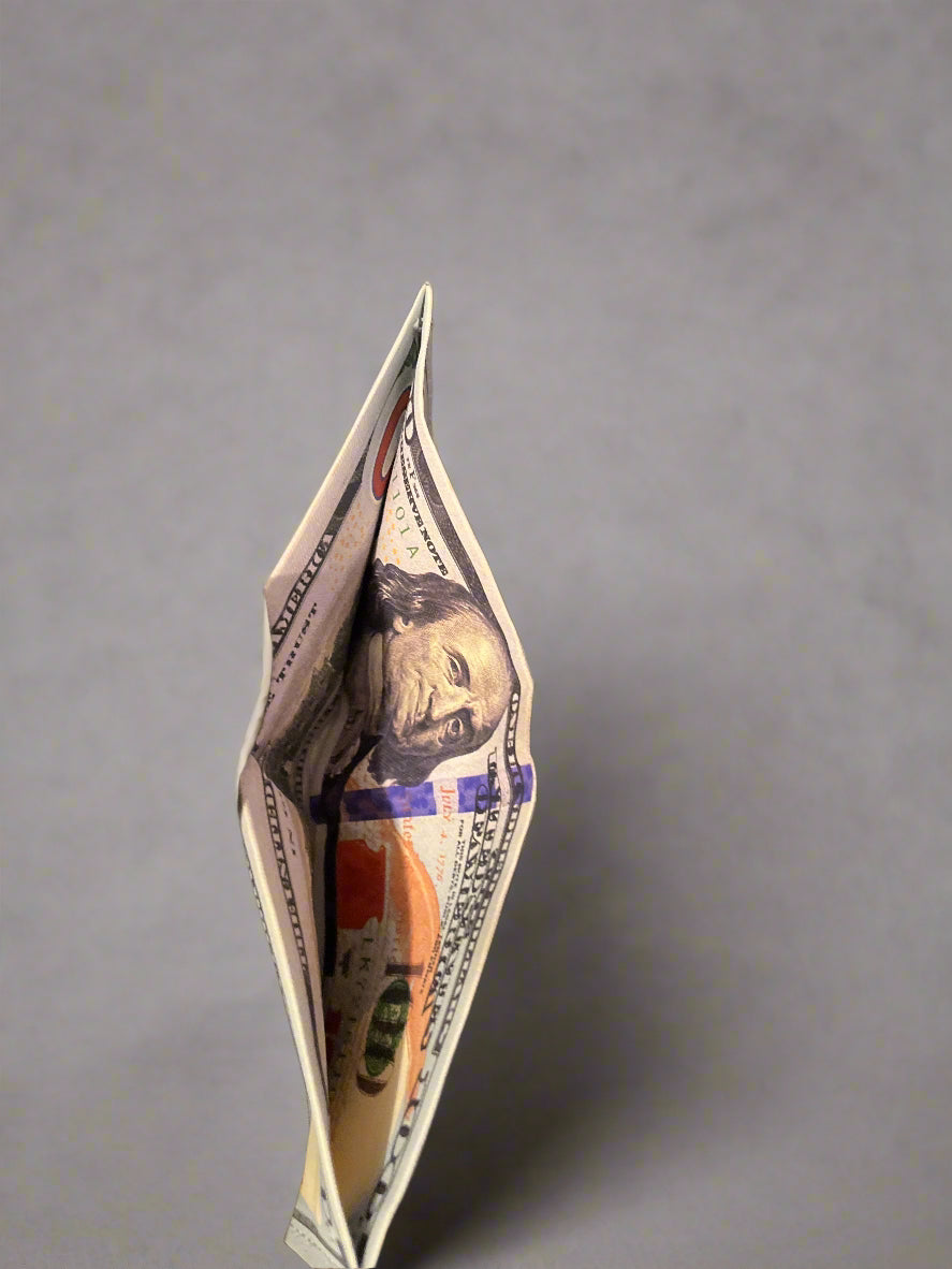 100 DOLLAR WALLET